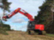 tree saw hire.jpeg