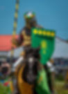Joust- Green Gold knight.jpg