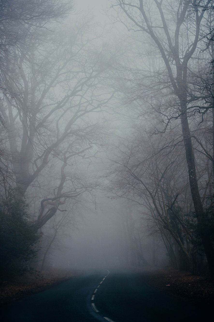 Fog_edited.jpg