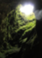 A large upward vertical tunnel, stemming from the dark inside of a cave towards the light of the outside. Green moss and ferns are growing on the walls of the cavern in the spaces touched by the light.
