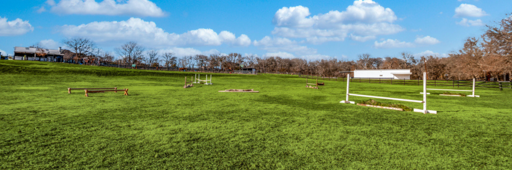 pasture, green grass, horseback riding, jumping