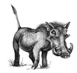 A drawing of a warthog.