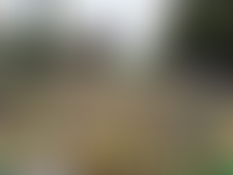 Multidão vai às ruas pelo Brasil em protesto por anistia e contra o governo Lula