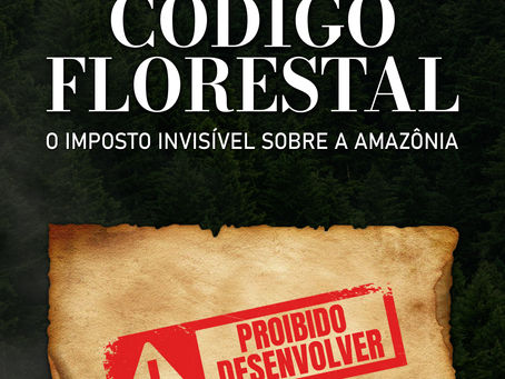 Amazônia, um potencial contido