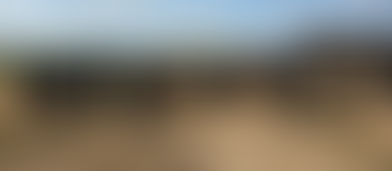 Ibama aplica multa milionária a frigoríficos por compra de gado de áreas desmatadas na Amazônia