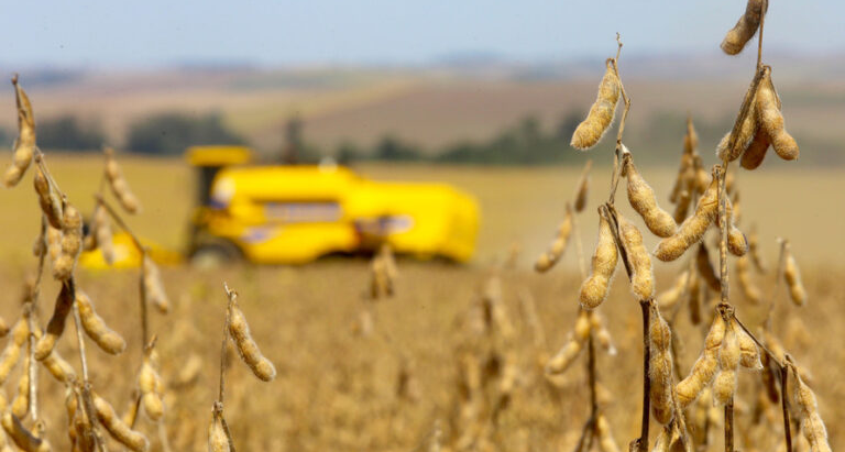 Moratória da soja e o prejuízo do ativismo judicial