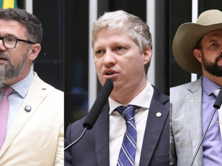 Deputados van Hattem, Zé Trovão e Pollon recorrem à CCJ da Câmara contra suspensão