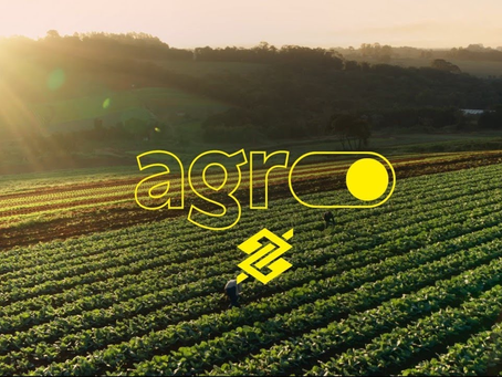 Banco do Brasil reforça garantias no agro e prevê melhora da pontualização para 95% em 2026 após inadimplência recorde