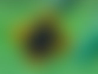 A tutela estatal da tecnologia