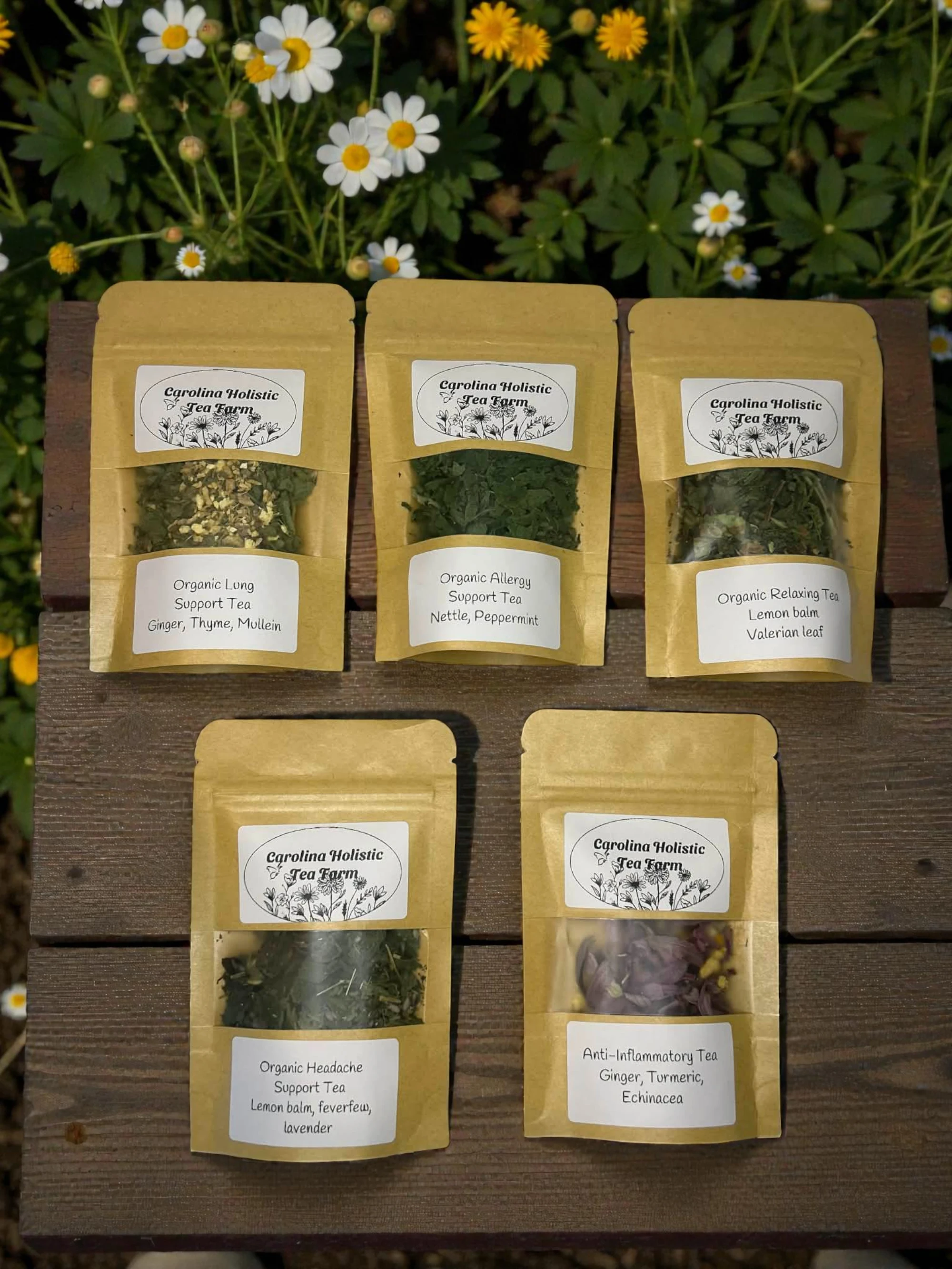 5-Pack Wellness Tea Sampler