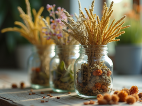 Building Your Herbal First Aid Kit