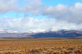 IMG_8908_Fotor.jpg