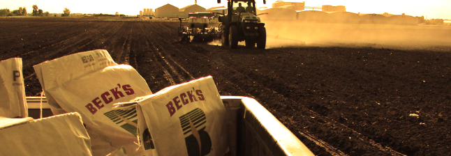 Customer Highlight: Beck’s Hybrids