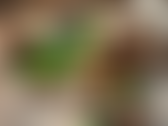 Ayurvedic Medicine for Erectile Dysfunction