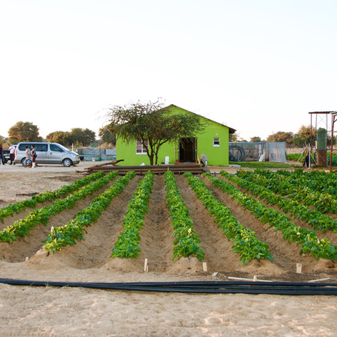 Agricultural Innovation Lab