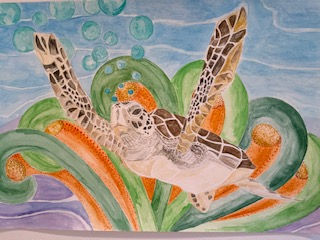 Turtle Freedom