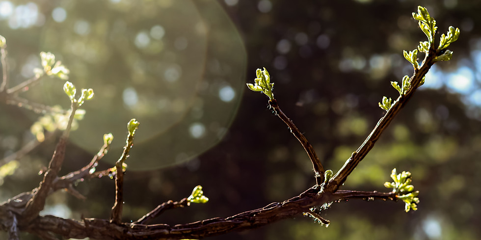 iStock-2214768520.jpg