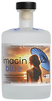 Imagin Blue Front Square NoBG.png