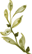 Dekor