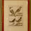 Thumbnail: Set of 4 Historie Naturelle Bird Engravings