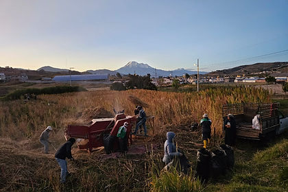 agroecologia.jpeg