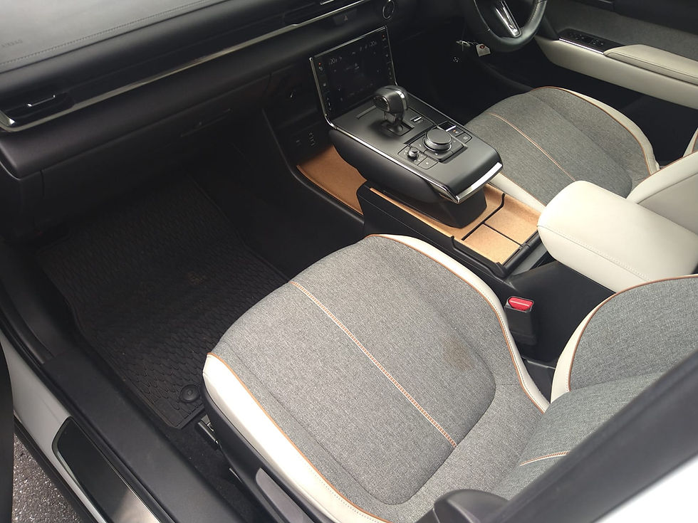 Μικρογραφία: Mazda MX30 2021