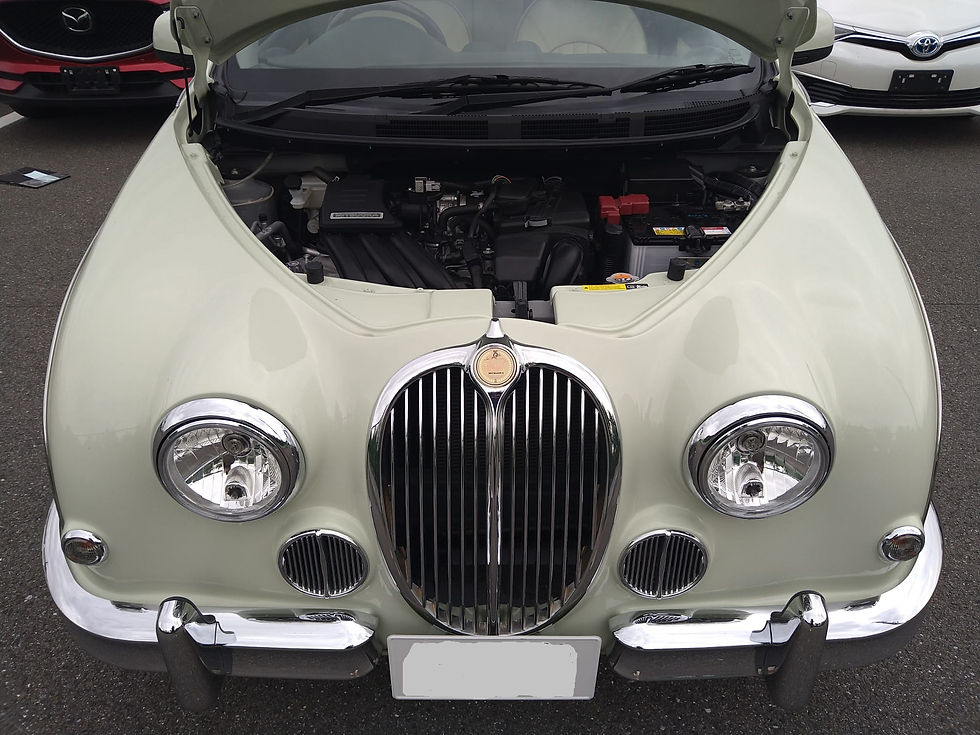 Thumbnail: Mitsuoka viewt 25th special