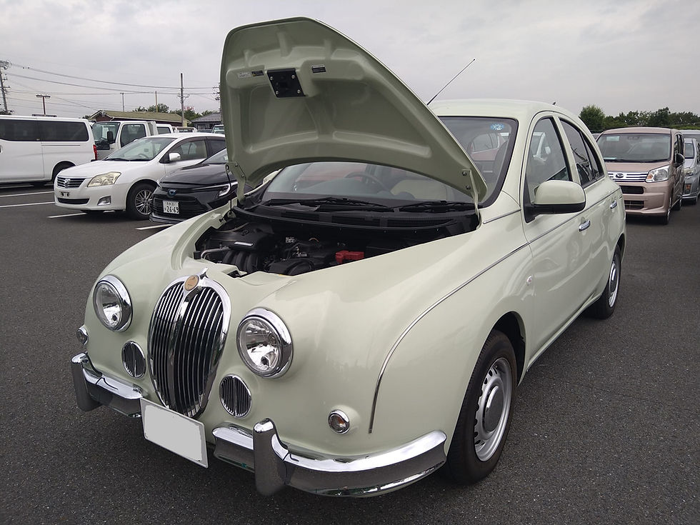 Thumbnail: Mitsuoka viewt 25th special
