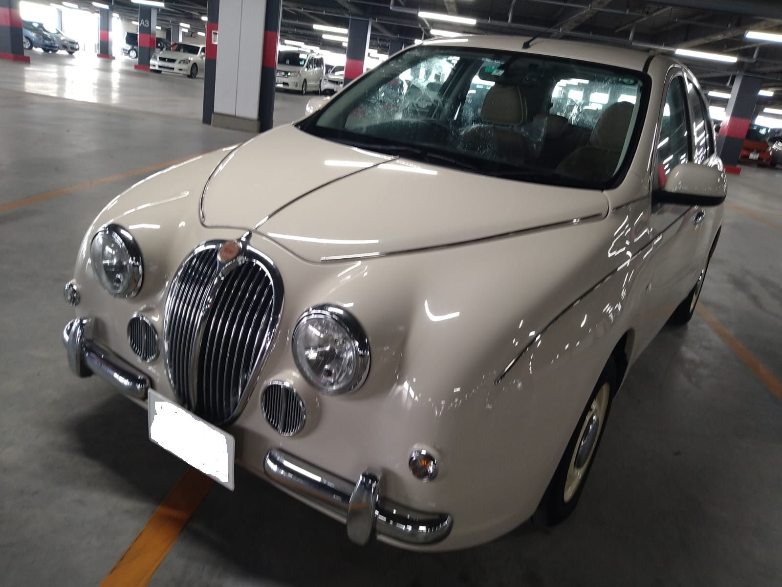 Mitsuoka viewt 2019
