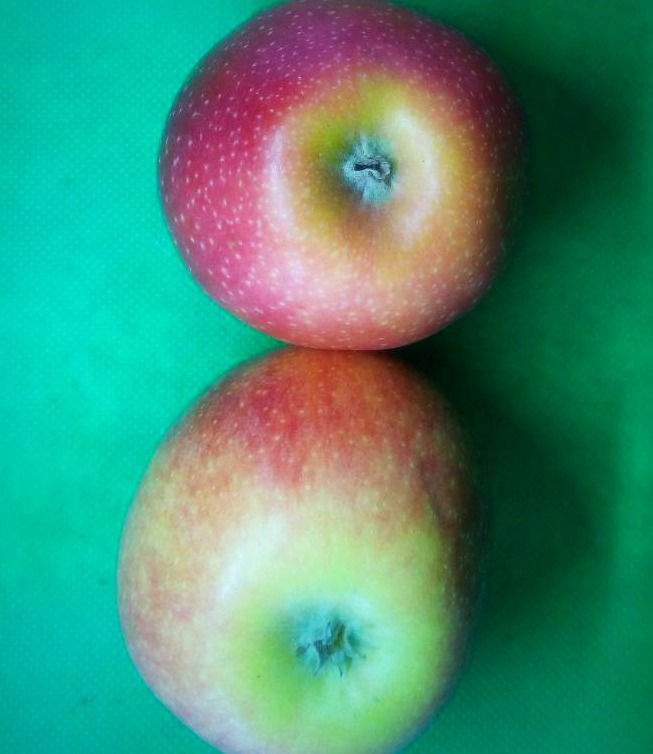 Миниатюра: Яблоки