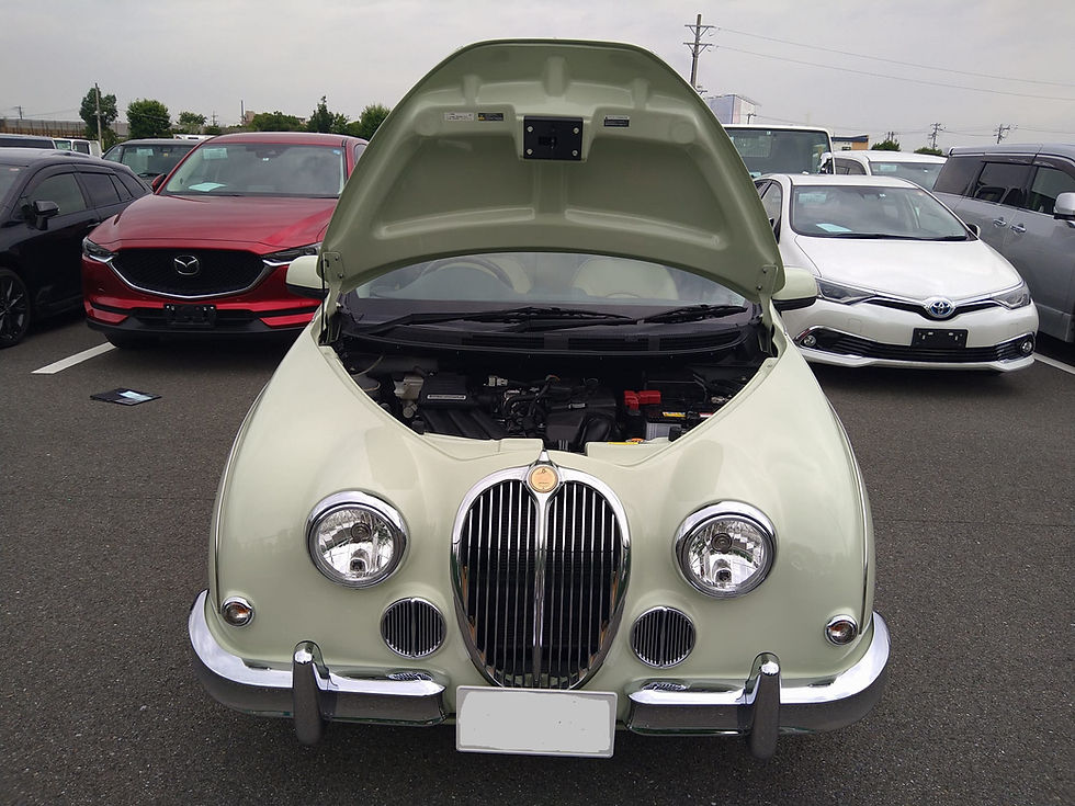 Thumbnail: Mitsuoka viewt 25th special
