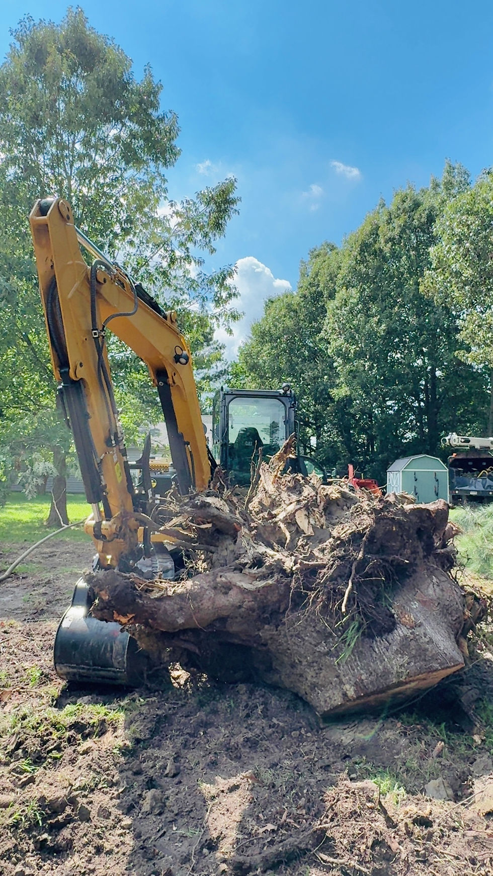Stump Removal in Mathews, Virginia Four Seasons Grounds Maintenance