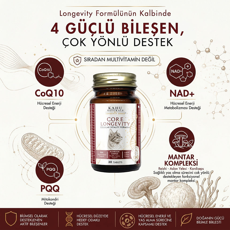 Küçük resim: Core Longevity Kedi | Hücre Yenileme ve Sağlıklı Yaş Alma Desteği, 30 Tablet