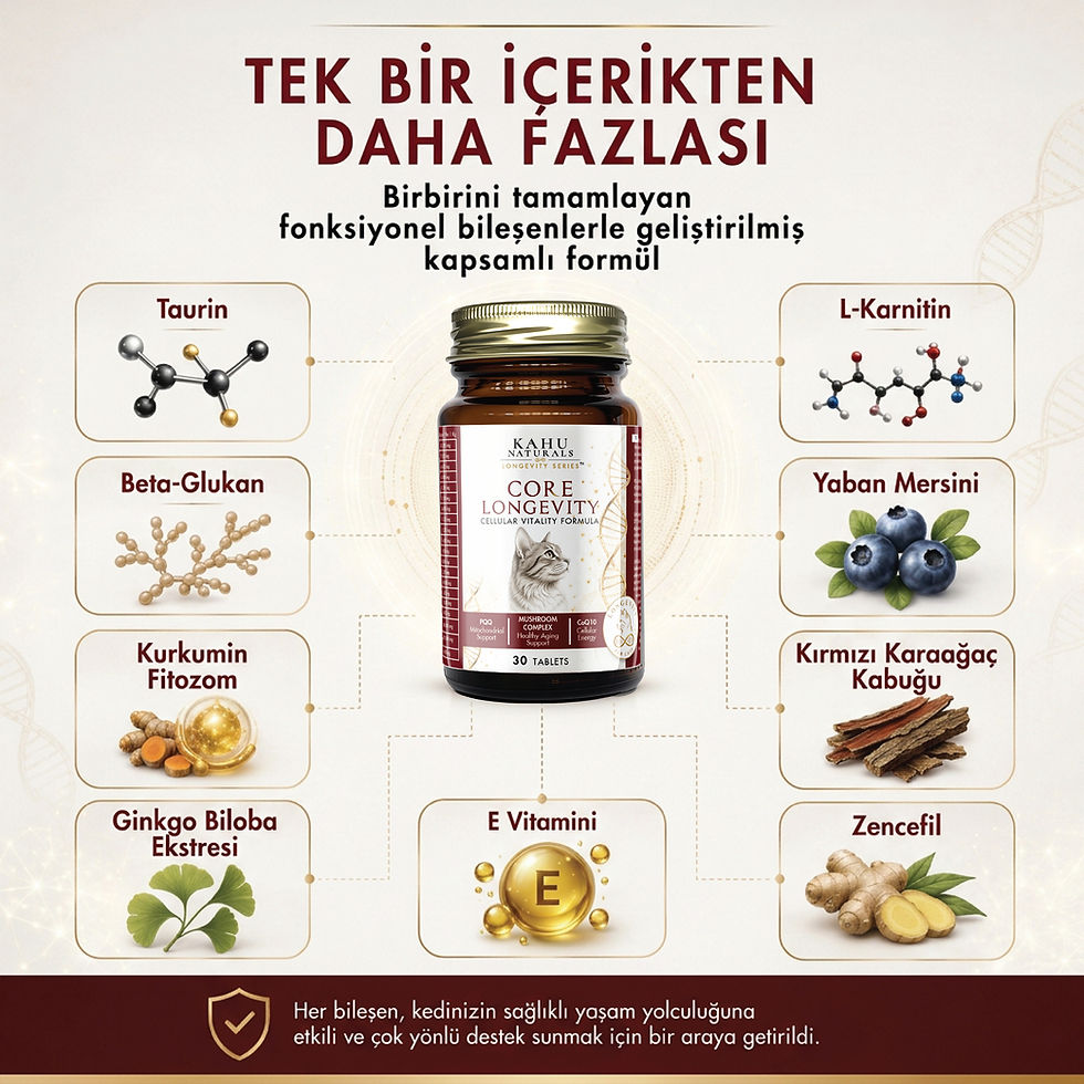 Küçük resim: Core Longevity Kedi | Hücre Yenileme ve Sağlıklı Yaş Alma Desteği, 30 Tablet