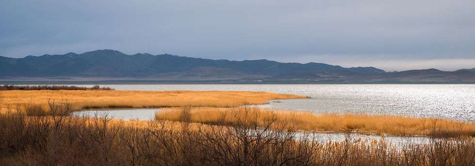Photo of the shores of the Great Salt Lake