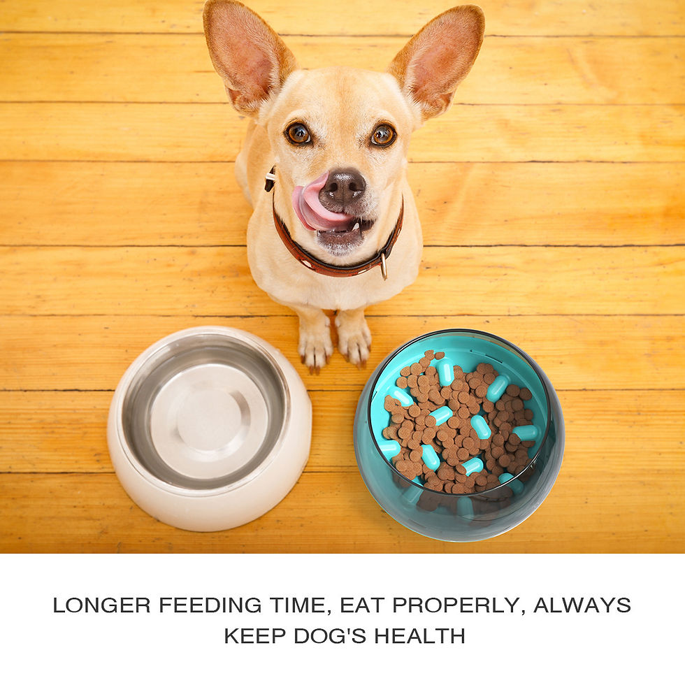 Thumbnail: Fun Pet Tumbler Space Capsule Dog Slow Feeder Bowl