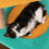 Thumbnail: PIDAN® Cat Climbing Tree / Cat Tower - Easy Jump Jump (1.26m Height)