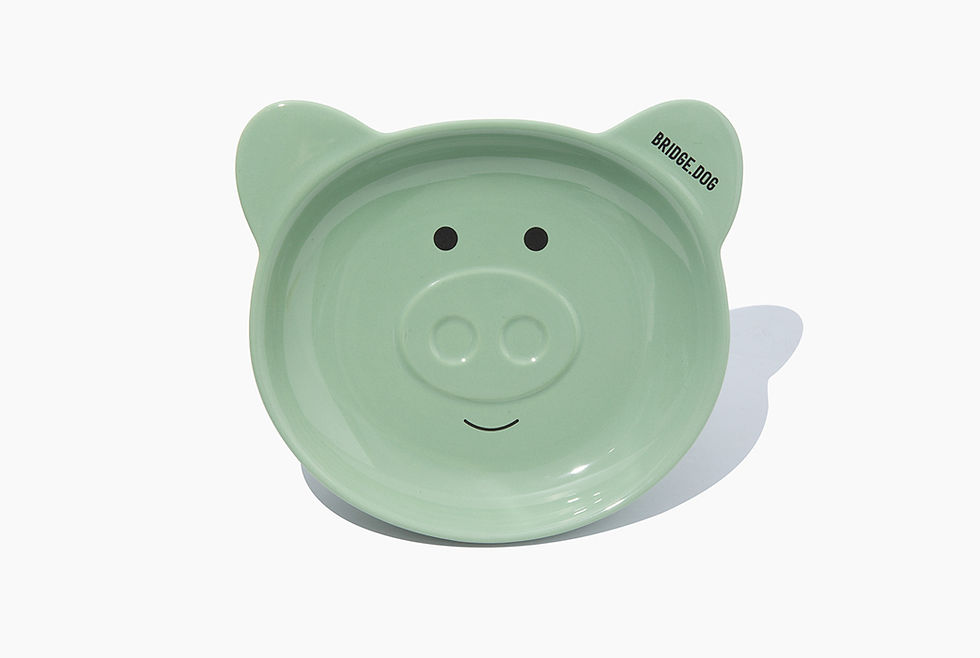 Thumbnail: BRIDGE DOG® Premium Handcrafted Ceramic Pet Bowl / Piggy Face Dish - Glossy