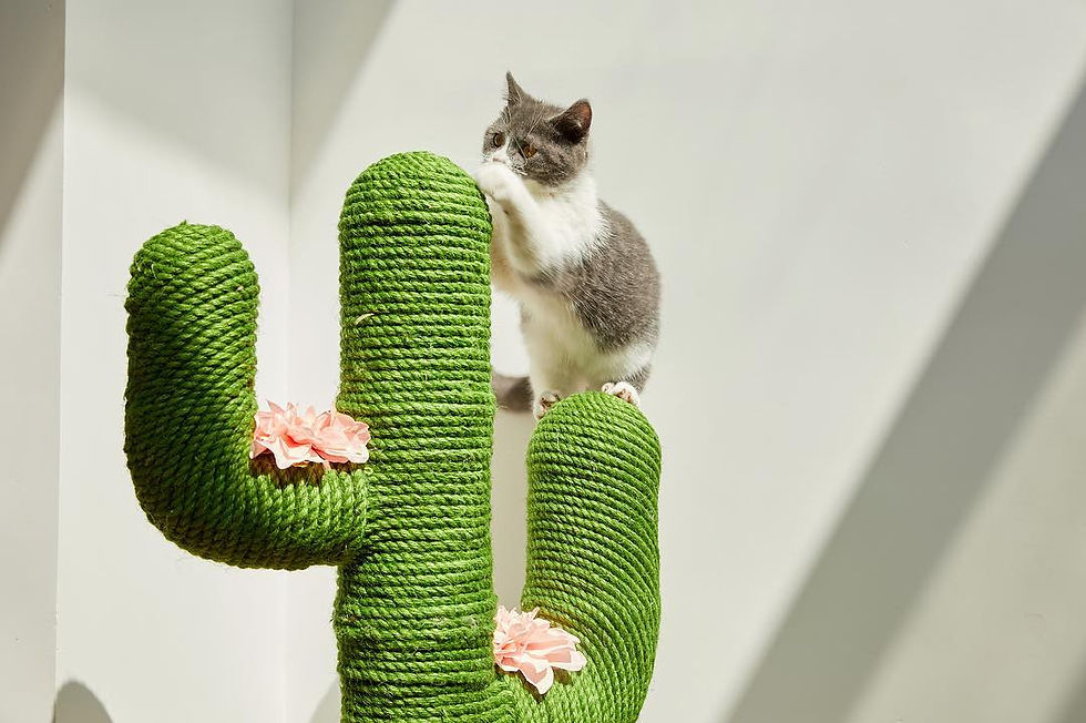 Thumbnail: VETRESKA® Hand-made Cat Scratcher / Cat Tree - Cactus Mini (80cm Height)