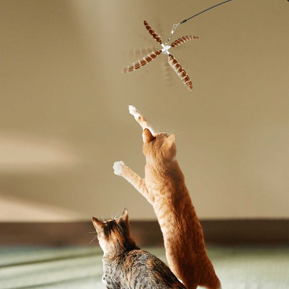 Thumbnail: Uah® Cat Telescopic Teaser Wand Cat Toy