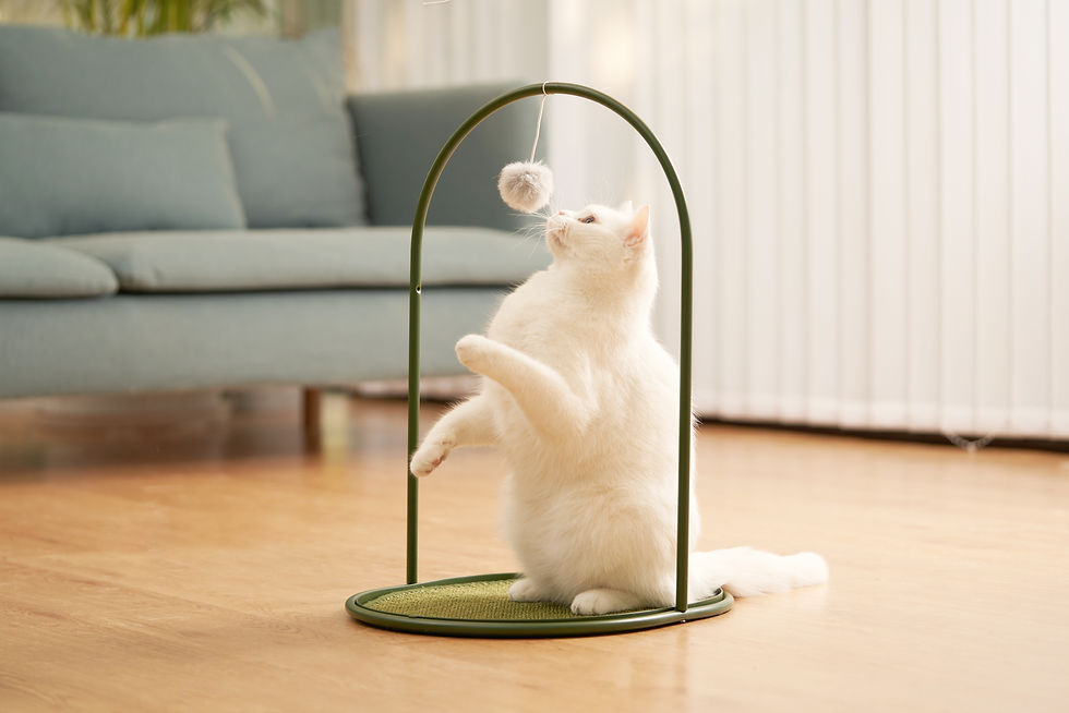 Thumbnail: MS! MAKESURE® Multifunctional Sisal Cat Scratching Board / Side Table - Green
