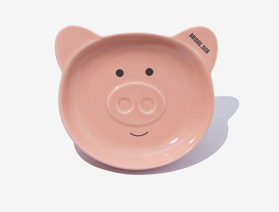 Thumbnail: BRIDGE DOG® Premium Handcrafted Ceramic Pet Bowl / Piggy Face Dish - Glossy