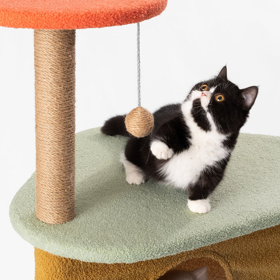 Thumbnail: PIDAN® Multi-functional Cat Climbing Tree / Cat Tower - Fun (1.6m Height)