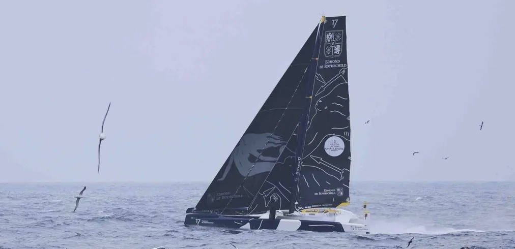 Histoires d’albatros
