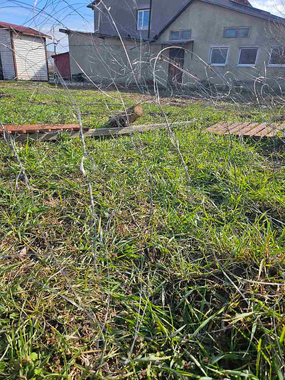 0-02-05-384b142cdf690e8728459e53818dc5578572ed3270e583ce4ed749c4f6ffece2_56751f2f674f6691.