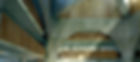 Bliblioteca%25252520Phillips_edited_edited_edited_edited.jpg