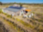 AmberChes Branding-196.jpg