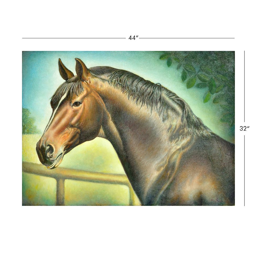 Thumbnail: CVP001 Black Stallion