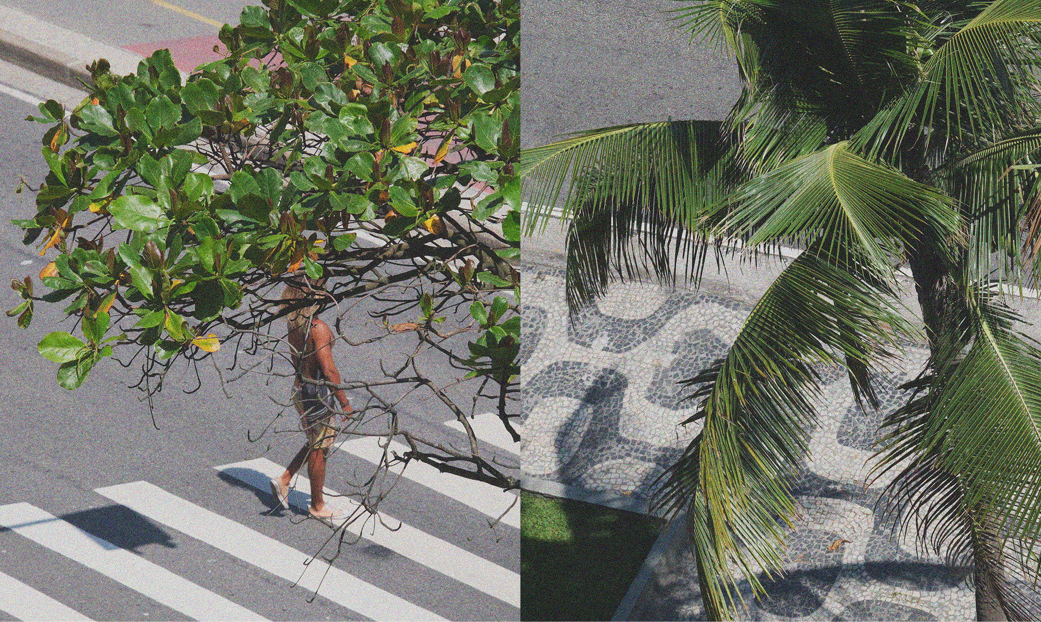 People of Rio4.jpg
