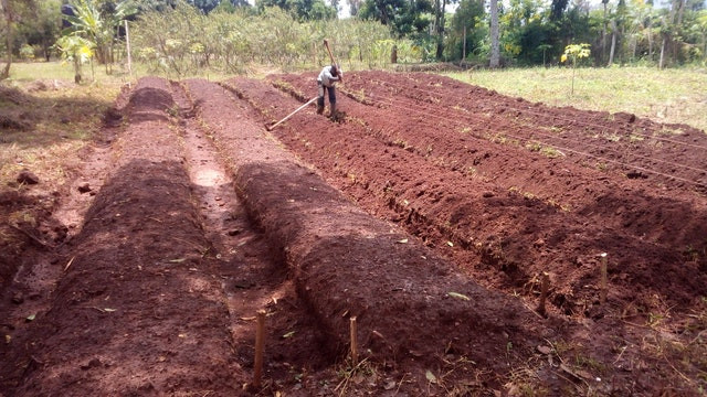 Uganda Baha'i Faith
